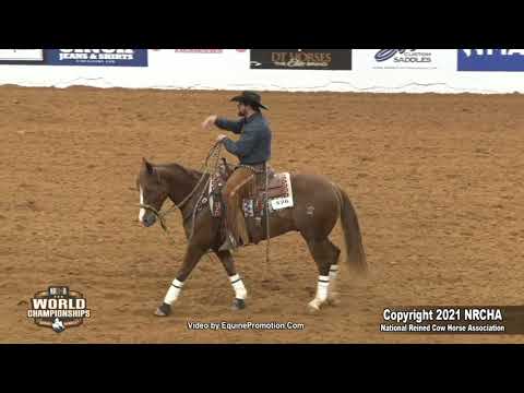 SJR Smooth Lil Oak shown by Kyle L  Noyce - 2021 Celebration of Champions Open Hackamore, FINALS