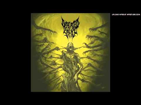 Defeated Sanity - Verblendung (Passages Into Deformity) NEW