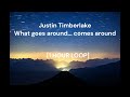 Justin Timberlake What Goes Around Comes Around 1 HOUR LOOP