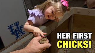 Our First Backyard Chickens (With My Granddaughter)