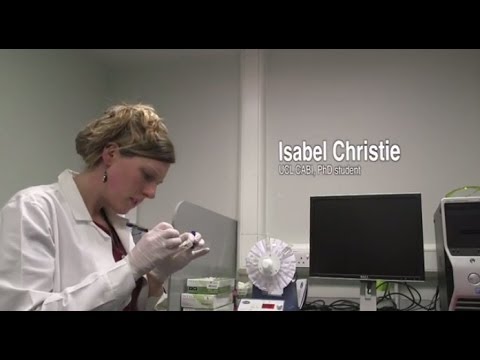 From the inside out at the Royal Society Summer Science Exhibition 2014