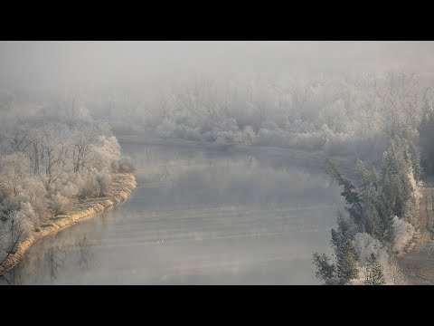 Hoarfrost in Fog Time-Lapse Along Shuswap River