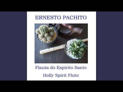 Meditação de Outono 1 / Autumn Meditation 1