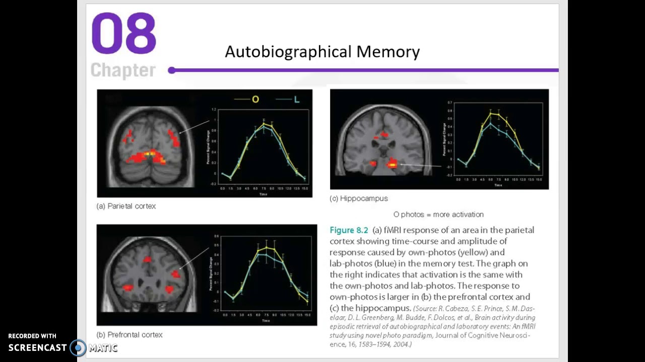 Chapter 8: Autobiographical Memory