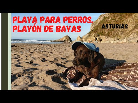 PLAYA PARA PERROS. EL PLAYÓN DE BAYAS. ASTURIAS