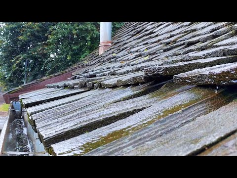 Short Reviews 12: 500 Greatest Albums #389-380