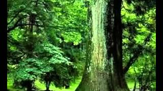 Pendragon am i really losing you