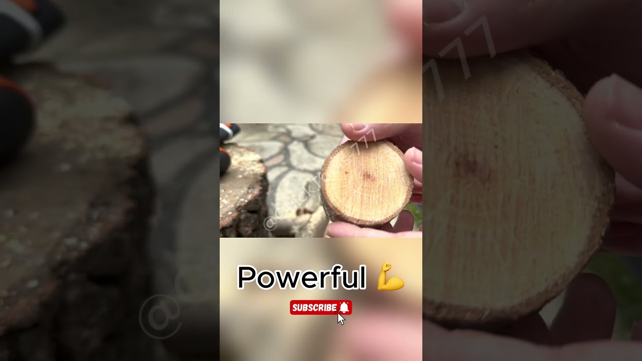 Satisfying Chainsaw ASMR 😍 #shorts  #diy #beautifultools
