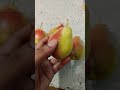 Pear Rosemary #fruits