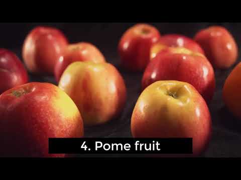 Introduction to Dendrology  - Lecture 3