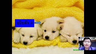 อริยสัจสี่ ทุกข์ (ขันธ์ 5)