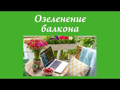 Миниатюра изображения товара Держатель для инструмента Мультидом J83-191 (5шт)