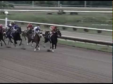 Clásico del Caribe 1996 - Angelical (PAN)