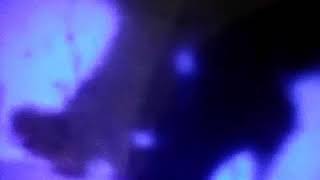 Download lagu (SELMA BEKTESHI) dream fairy and her like cinderella god loves him forever mp3 Download lagu (SELMA BEKTESHI) dream fairy and her like cinderella god loves him forever mp3