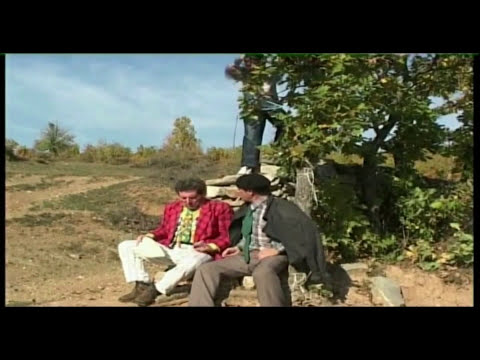 Cima, Leci, Dreni - Xixat e cimes