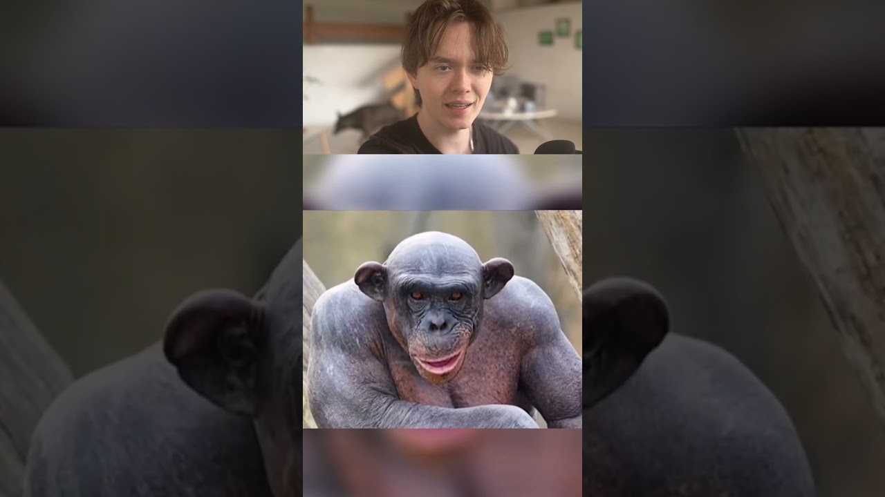 ANIMALS WITHOUGHT FUR!