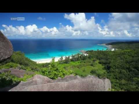 "The Venus Project" in ORF Newton (480p)