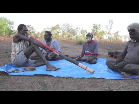 Gupapuyngu Guku song line