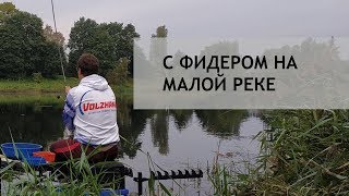 Рыбалка на малых реках фидером