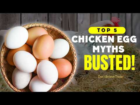 5 Egg Myths BUSTED 🥚 (The Truth About Egg Colors & Nutrition)