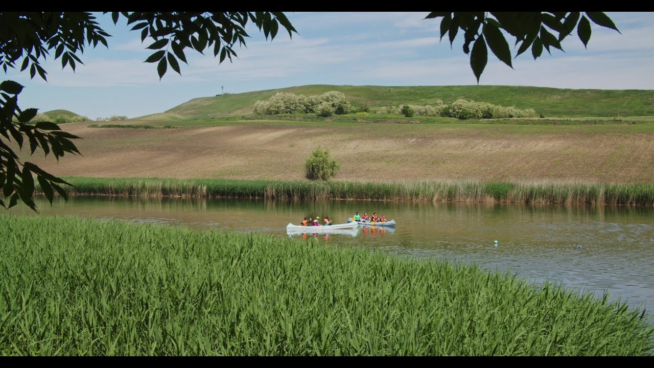 SOFTECH │CODESPRING – Software Development Team