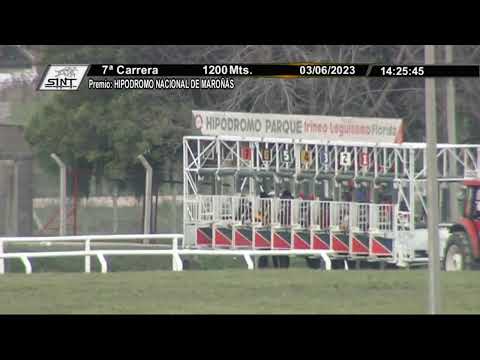 230603 c07 - NORDICO FEVER - SINT FLORIDA