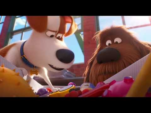 download lagu mp3 mp4 Evcil Hayvanlarn Gizemli Yaam Indir, download lagu Evcil Hayvanlarn Gizemli Yaam Indir gratis, unduh video klip Evcil Hayvanlarn Gizemli Yaam Indir