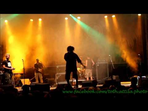 2013.07.28. Camp Allstars, Reggae Camp, Hatvan