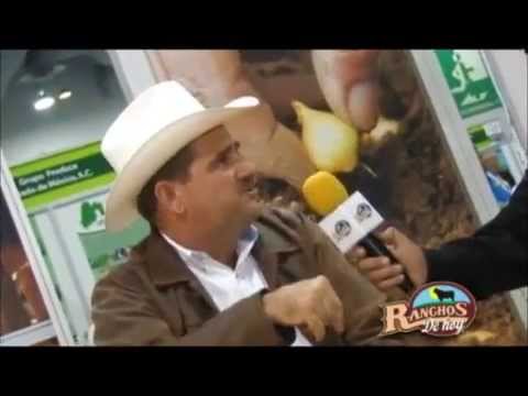 15 Aniv. COFUPRO M.V.Z. Mauricio Lastra