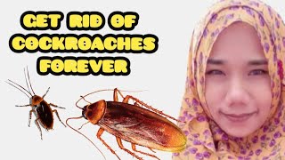 HOW TO GET RID OF COCKROACHES FOREVER || VLOG TKW HONG KONG
