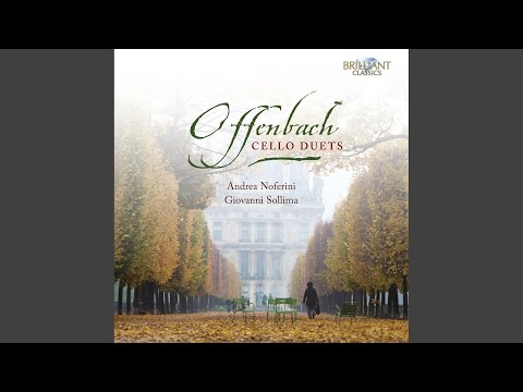 Duos for Two Cellos, Op. 51 No. 2 in B Minor: I. Allegro non troppo