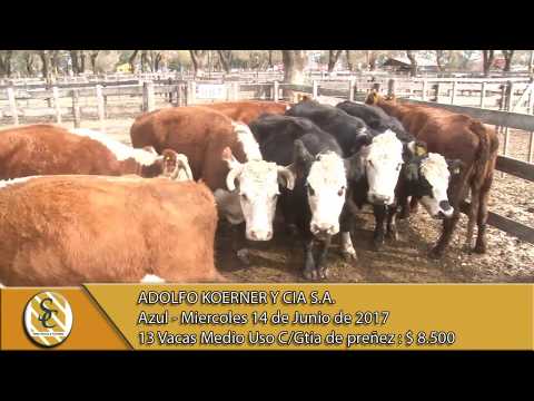 14-06-17 Venta de Vientres - Adolfo Koerner y Cia S.A. - Azul