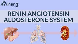 Renin Angiotensin Aldosterone System (Nursing School Lessons)