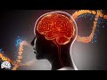 Alpha Wave Brain Massage Proven Healing Sound Wave 100 Effective Regeneration Aging Cells