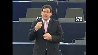 Képviselői felszólalás – 2013.05.21. Strasbourg