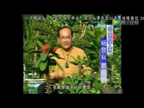帶刺的植物