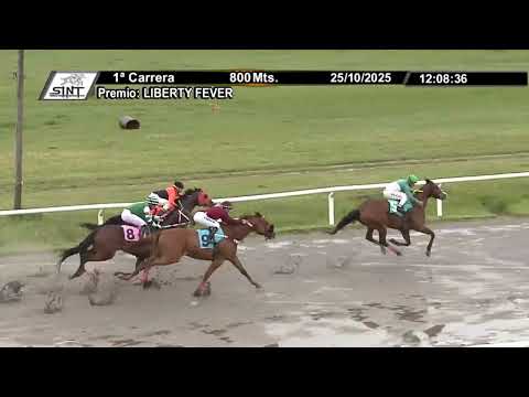 SINT COLONIA 251025 c01 - MEMENTO