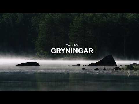 Visit Sandviken - en film om Sandvikens fantastiska djur- och naturliv