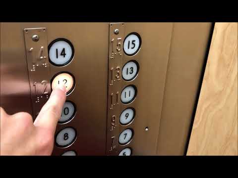 Epic Schindler Haughton Traction Elevators with Independent Service at The Centennial, Troy MI