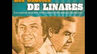 los cadetes de linares homero de leon