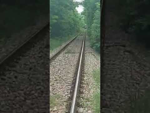 DA1 539 trece prin Bucucea cu Trenul R5561 Botoșani-Suceava Nord 02.07.2021