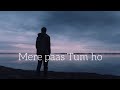 Mere Paas Tum Ho - lyrics || Rahat Fateh Ali Khan