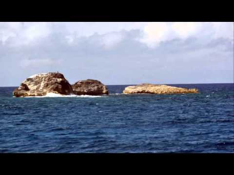 Green Astronauts - A Boy Called Joni (Niklas Harding Remix)