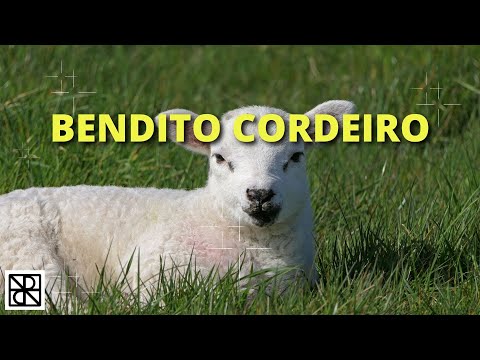 BENDITO O CORDEIRO/ ALVO MAIS QUE A NEVE   𝅘𝅥𝅮𝅘𝅥𝅮 ORQUESTRADO𝅘𝅥𝅮𝅘𝅥𝅮    com letra