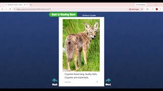 Level E.All About Coyotes