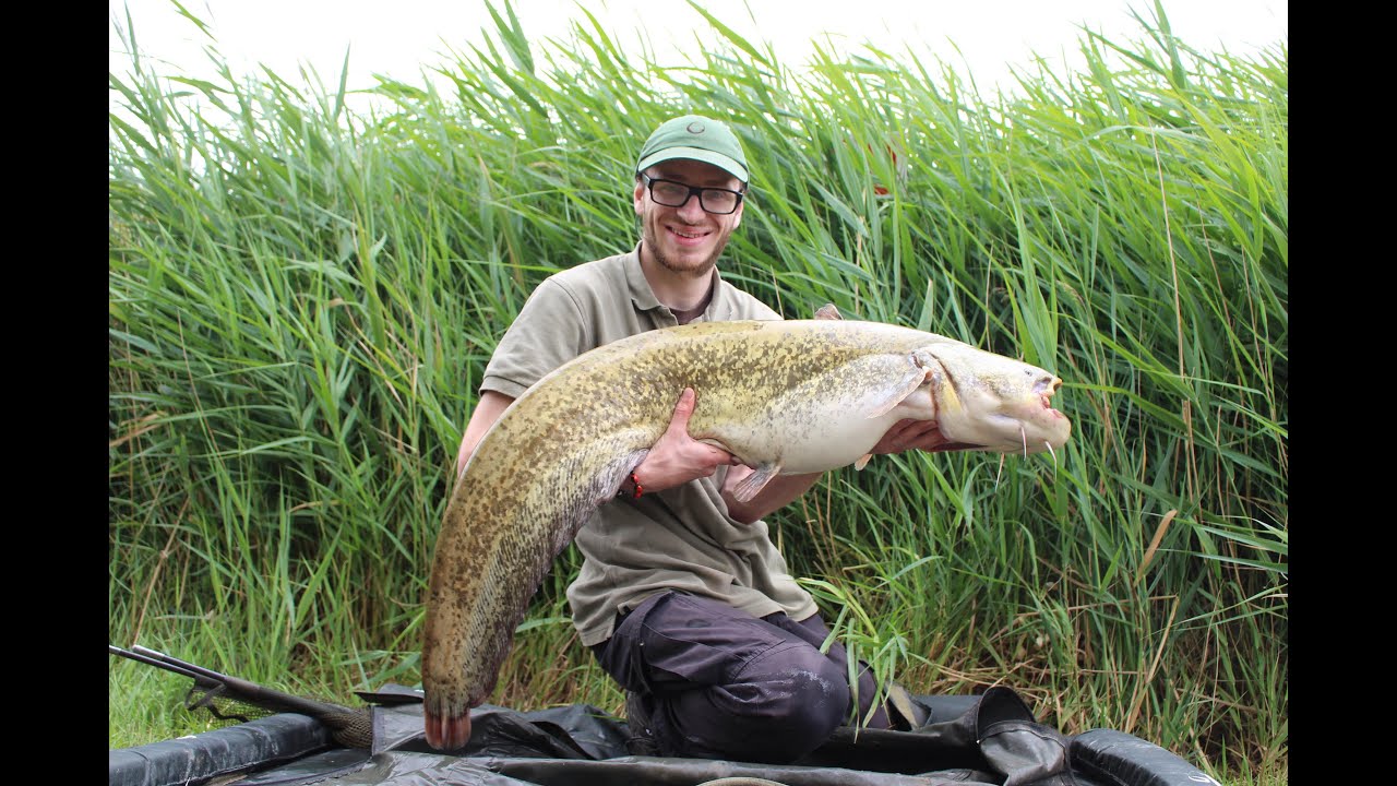 Catfishing - Against All Odds