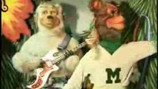 Borne On The FM Waves of the Heart- Against Me!- Rock-afire!