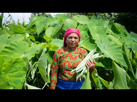 गाभा र सोयाविनको तरकारी, पहिलै किन थाहा भएन यस्तो रेसीपी🙄 Gava ra Soyabean recipe | KanchhiKitchen