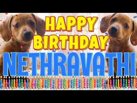 Happy Birthday Nethravathi! ( Funny Talking Dogs ) What Is Free On My Birthday