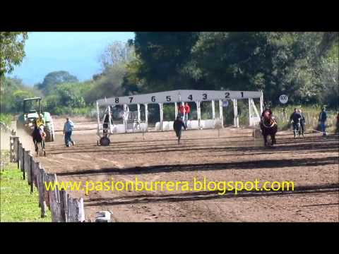Repechaje Polla Potrillos Rincón del Aguará: Guarro Ryon, Frias (15-06-14)